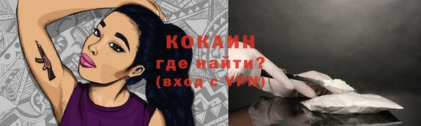 прущие крисы Корсаков