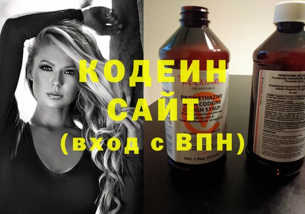 прущие крисы Корсаков