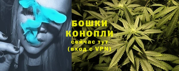 ALPHA PVP Коряжма