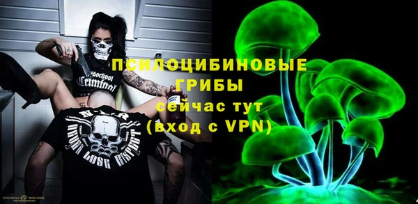 прущие крисы Корсаков